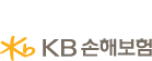 KB손해보험